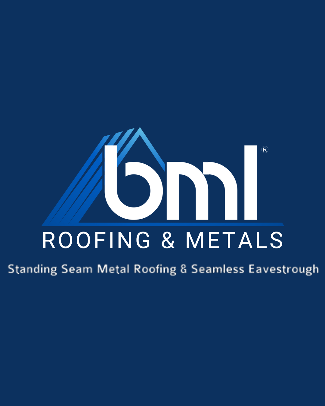Vision & Values - BML Metals Ltd